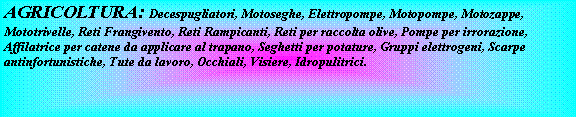 Casella di testo: AGRICOLTURA: Decespugliatori, Motoseghe, Elettropompe, Motopompe, Motozappe, Mototrivelle, Reti Frangivento, Reti Rampicanti, Reti per raccolta olive, Pompe per irrorazione, Affilatrice per catene da applicare al trapano, Seghetti per potature, Gruppi elettrogeni, Scarpe antinfortunistiche, Tute da lavoro, Occhiali, Visiere, Idropulitrici.